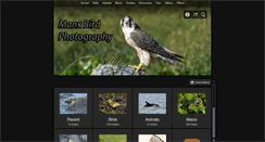 Desktop Screenshot of manxbirdphotography.co.uk